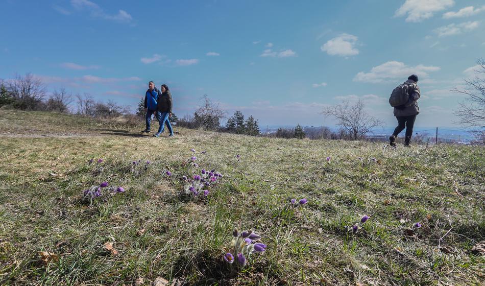 V prihodnjih tednih morate nujno obiskati ta kotiček Slovenije
