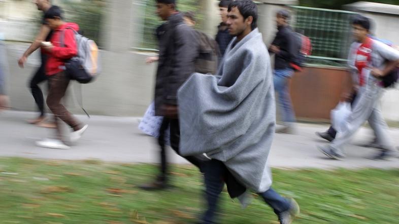 Pribežniki v Beogradu