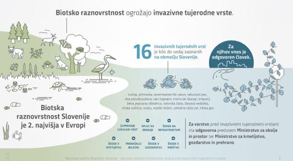  | Avtor: Računsko sodišče