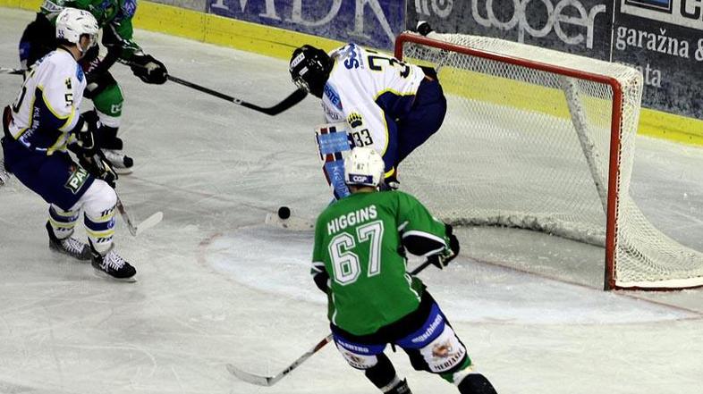 Kanadčan Matt Higgins bo še naprej drsal za zeleno-bele iz Tivolija. (Foto: Saša