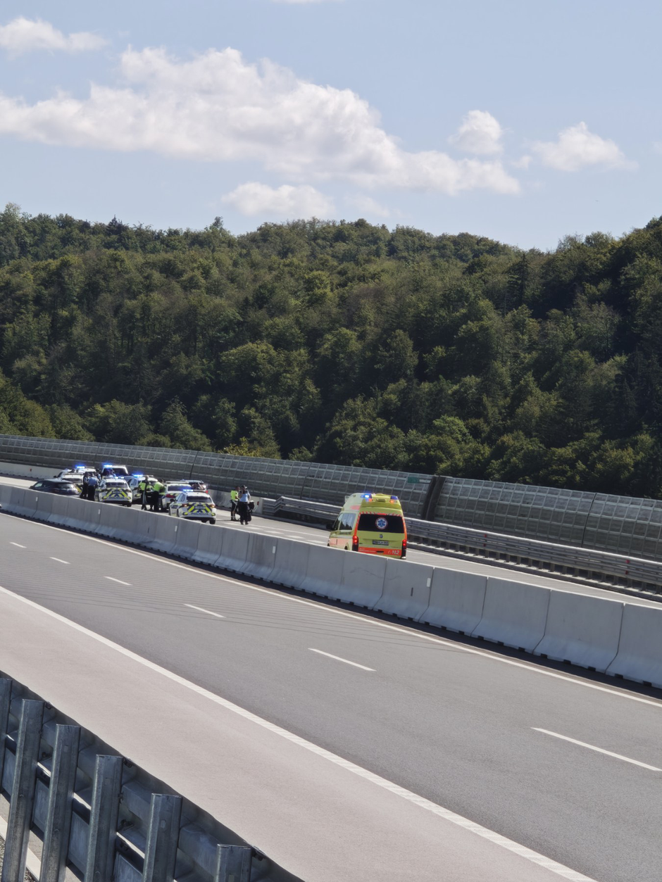 policijska intervencija na dolenjski avtocesti | Avtor: Žurnal24 