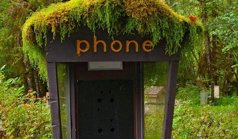 Telefonska govorilnica | Avtor: Profimedias