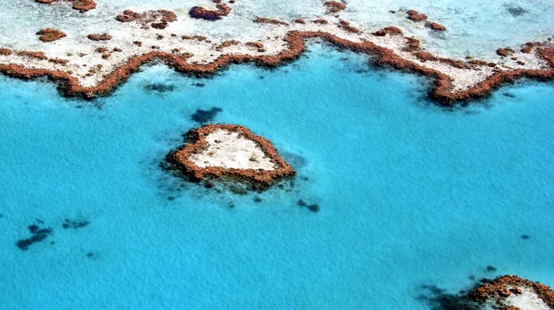 Veliki koralni greben, Avstralija