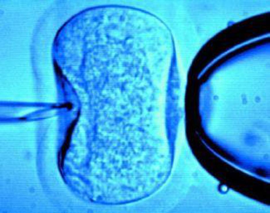 oploditev_250708 | Avtor: Žurnal24 main