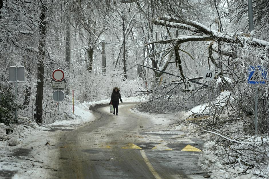 slovenija 04.02.14, sneg, led, zled, snegolom, lom dreves, nevarno vozisce zarad | Avtor: Anže Petkovšek