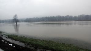 Sava je včeraj popoldne poplavljala tudi na območju Litije. (Foto: Benjamin Kova