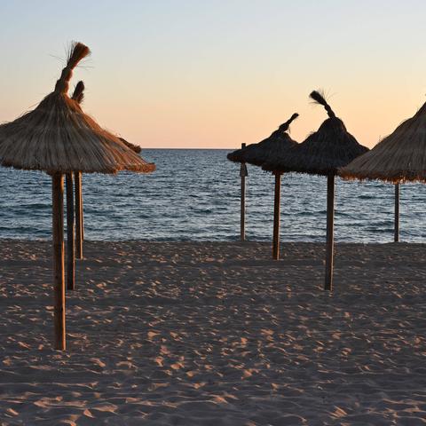 playa de la palma majorka