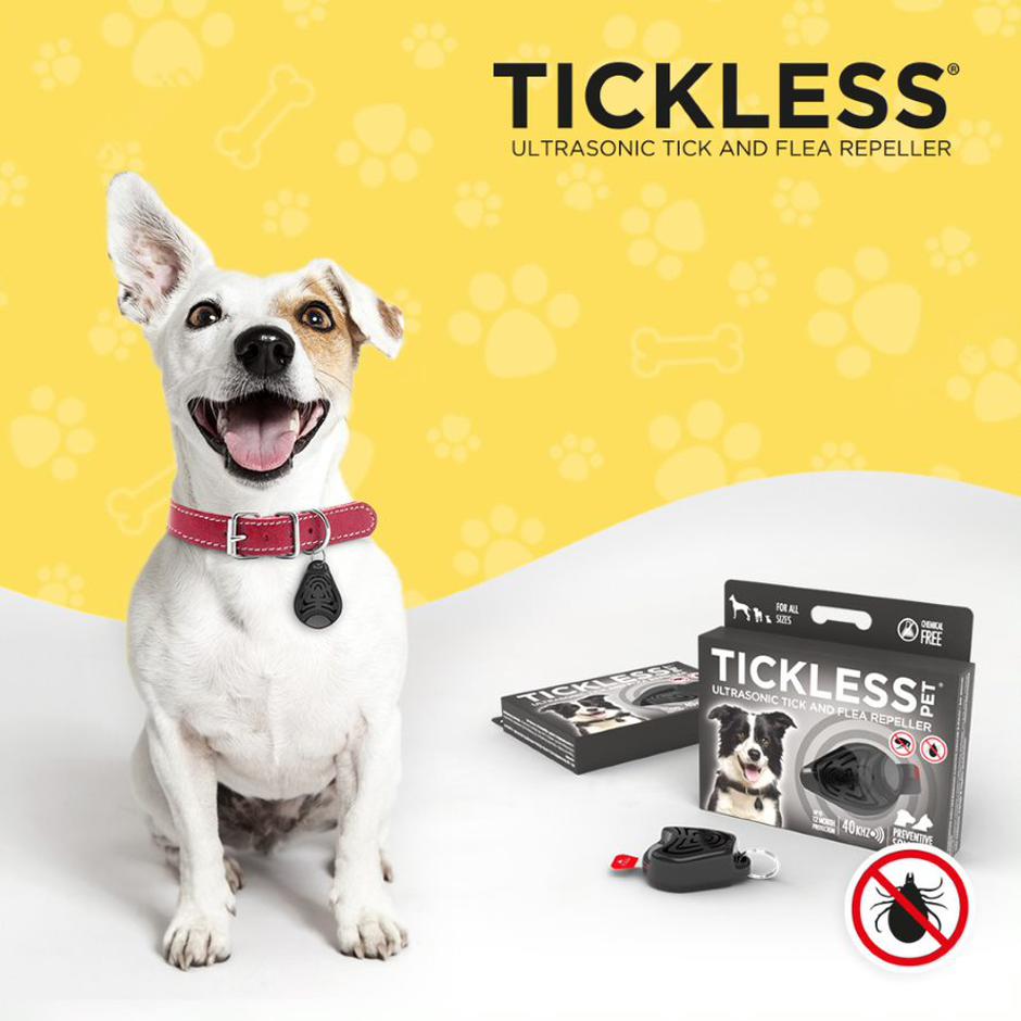 Tickless | Avtor: Tickless