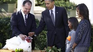 Obama je pomilostil purana z imenoma Jabolko in Jabolčnik. (Foto: Reuters)