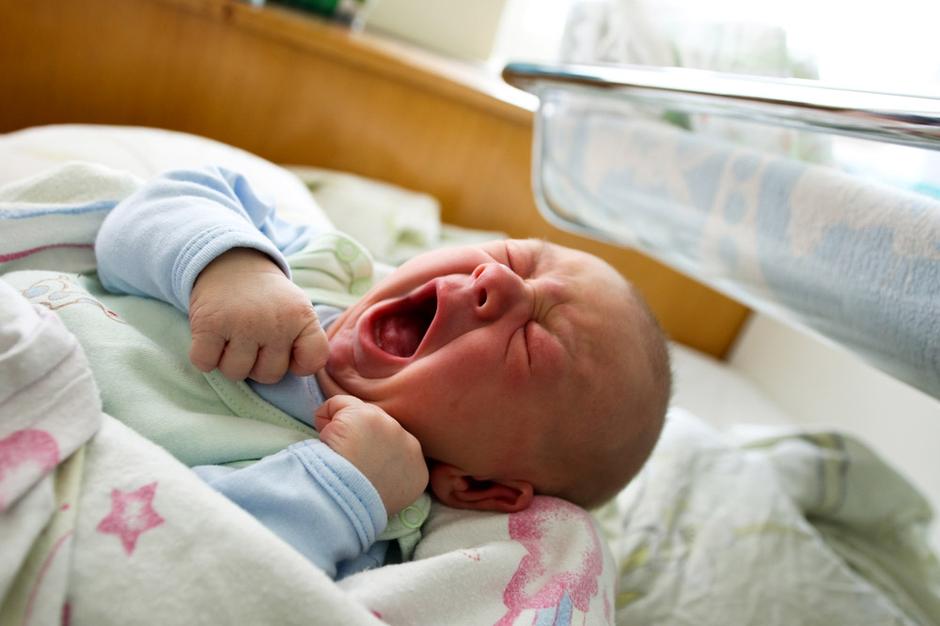 Novorojenček. | Avtor: Shutterstock