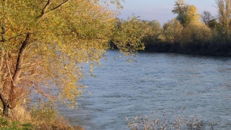 Minister Vizjak meni, da prehajamo v tisti del projekta, ki bo odvisen od sosedn