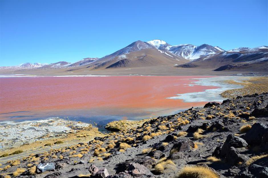 blog Cesta dolga leto dni | Avtor: Brina Sotlar