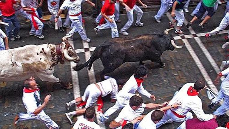 Teka pred biki se vsako leto udeleži na stotine ljudi z vsega sveta.