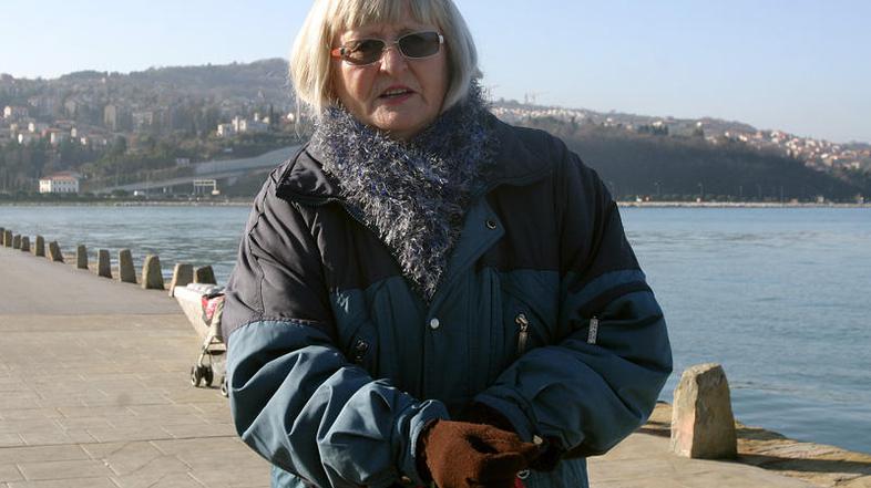 "15 evrov za odstranitev vinjete je preveč, pa še uradnega cenika nimajo," Danic