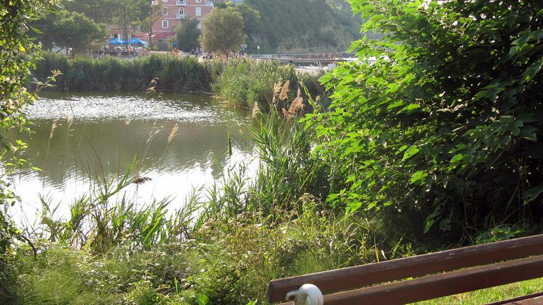 Fiesa. (Foto: Janez Mužič)