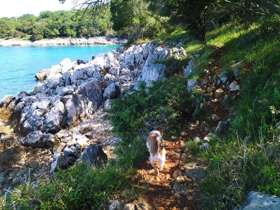 Krk, zaliv | Avtor: S. H. H.