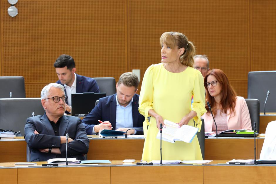 Državni zbor: Meira Hot in Matjaž Han | Avtor: Matija Sušnik/Državni zbor