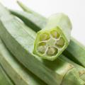 Okra