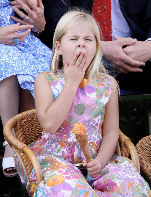 princeske, nizozemska