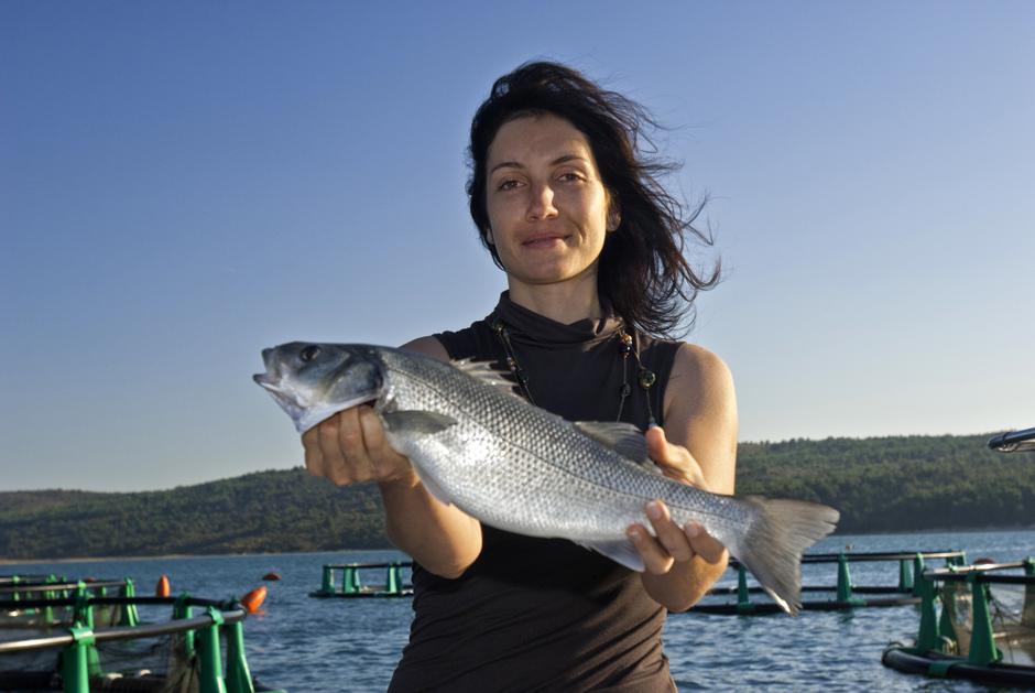 Sejem Alpe-Adria | Avtor: Arne Hodalič