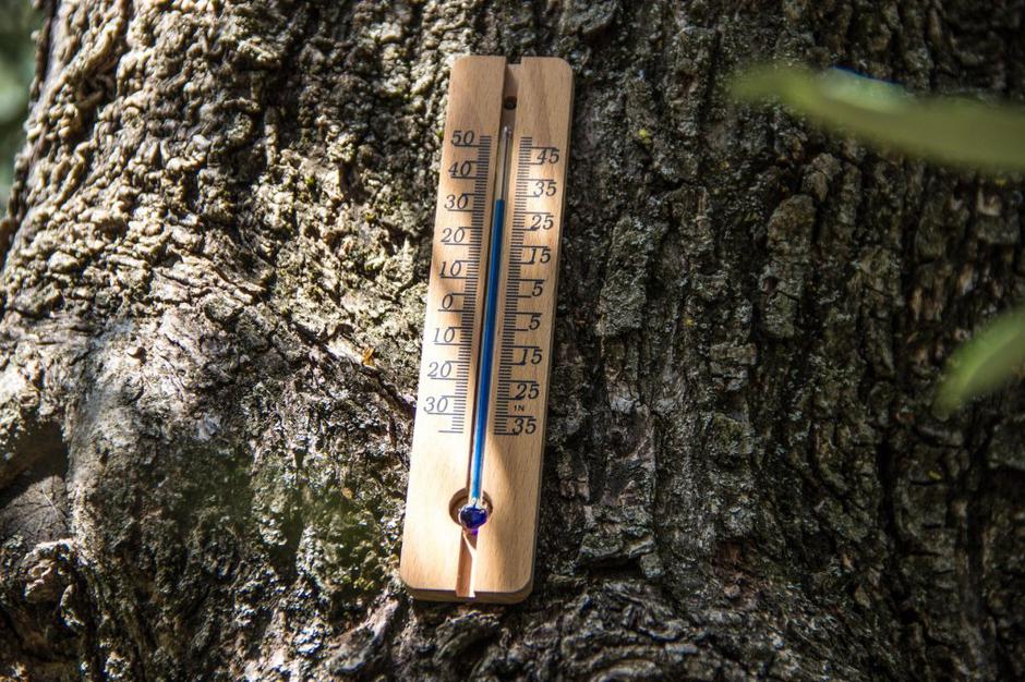 termometer | Avtor: Profimedias