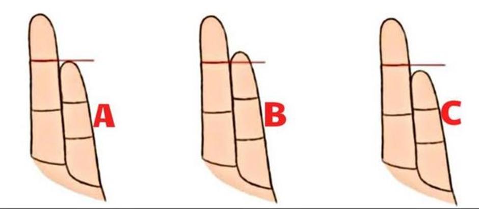 Prsti | Avtor: Profimedias