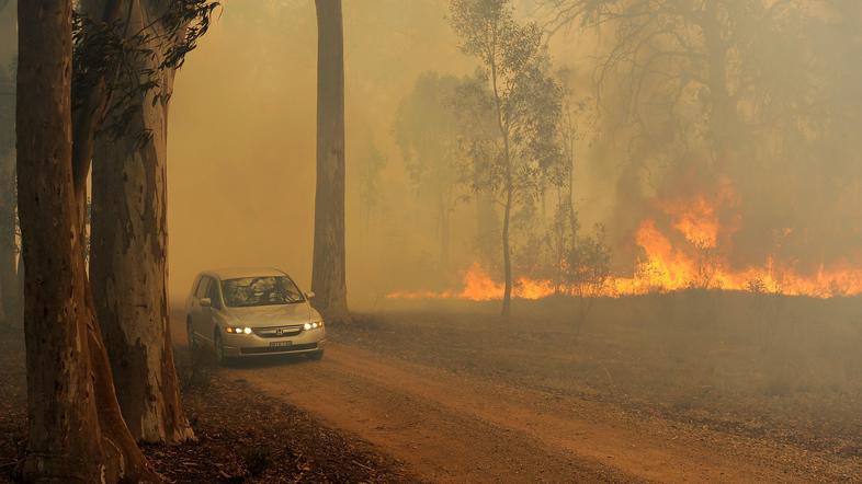 Večino požarov so zanetile strele. (Foto: AFP)