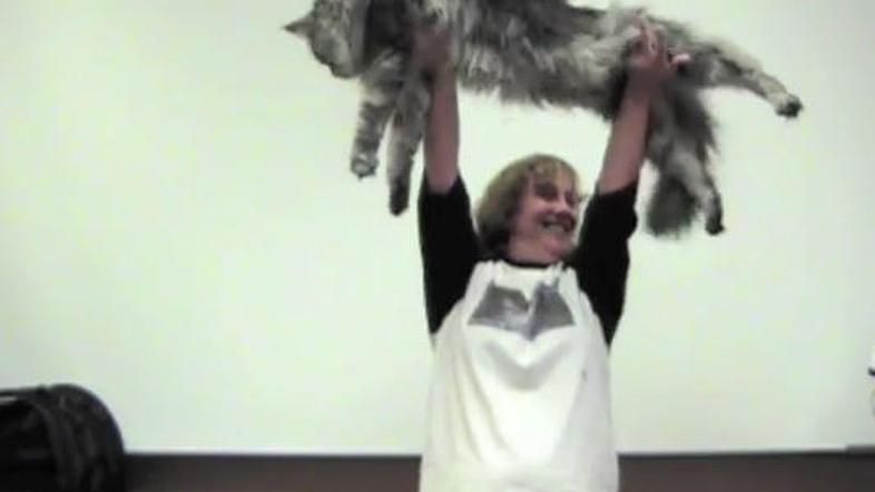 Ponosna lastnica Robin Hendrickson s Stewiejem. (Foto: YouTube)