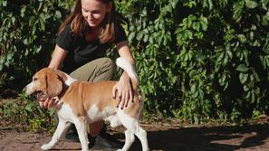 Med nenavadnimi študentskimi deli tudi božanje psa