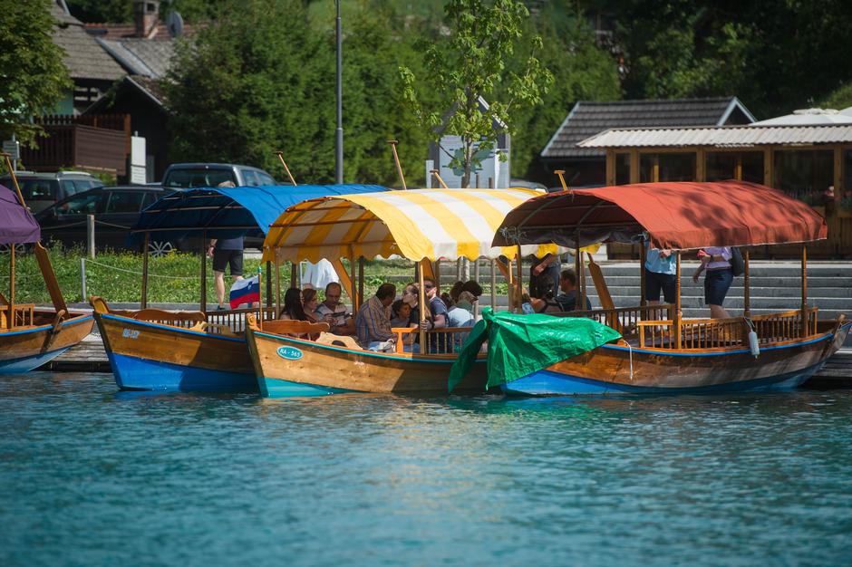 Blejski pletnarji | Avtor: Anže Petkovšek