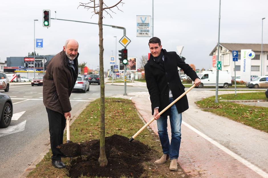  | Avtor: Borut Cvetko / Mediaspeed