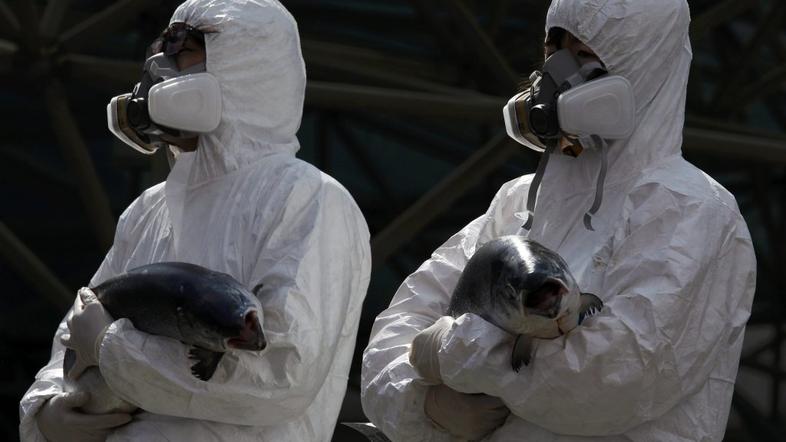 seul, vrh o jedrski varnosti, protesti, protestniki