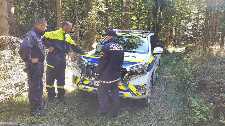 Iskalna akcija policija gozd pogrešana oseba policisti terenec | Avtor: Policija