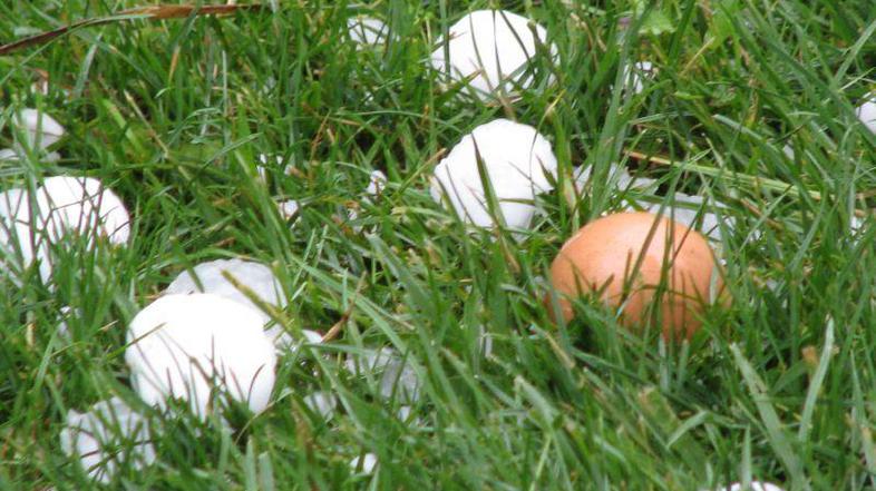 toca tjasa cerne nova gorica 3