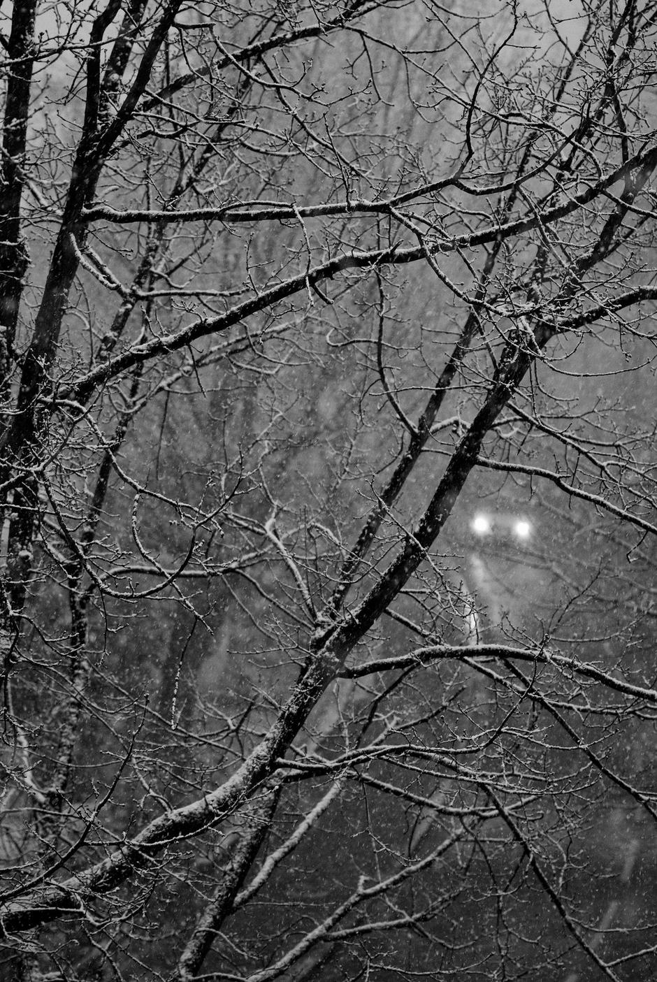 Sneg | Avtor: Profimedia