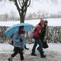 Kaj jedo šolarji v Osnovni šoli Bršljin Novo mesto, bo zdaj pregledovala tudi po