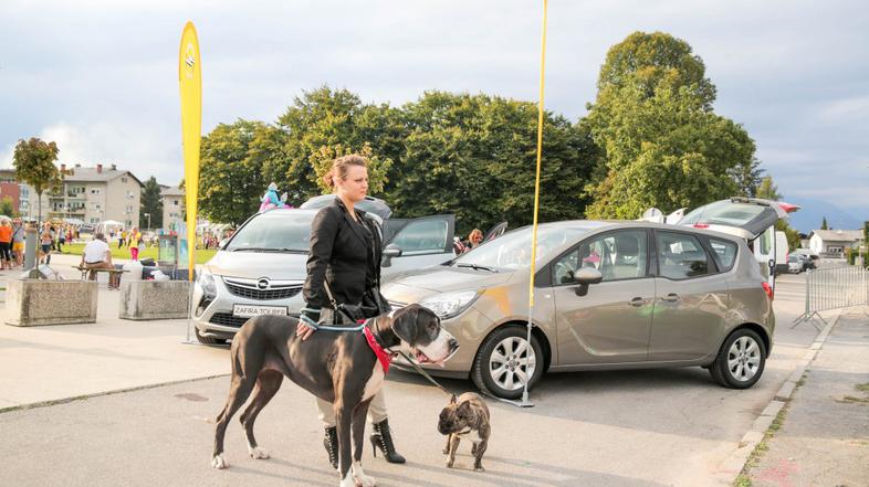 Sejem za ljubitelje živali, opel