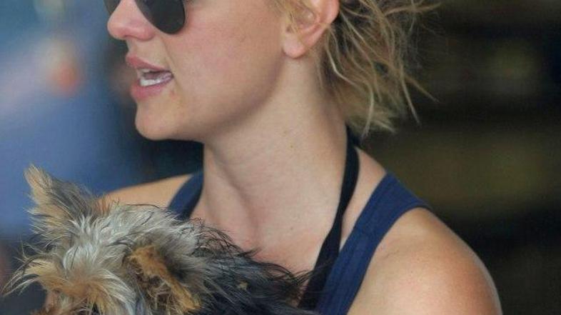 britney spears flynet