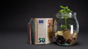 denar evro evrski bankovci kozarec rastlina