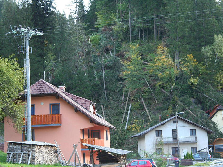 Močan veter je ponoči podiral drevesa in električne daljnovode.