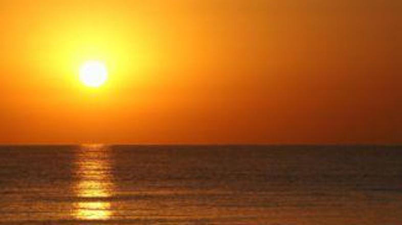 Škodi preveč svetlobe in preveč teme?