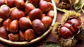 zivljenje 10.10.13. kostanj, foto: shutterstock