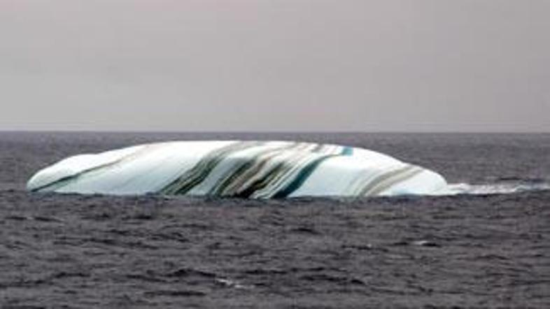 Skrivnostna pošast? Ne, čudo narave na Antarktiki.