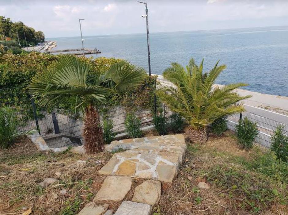 Zmago Jelinčič | Avtor: Andreja Cilenšek