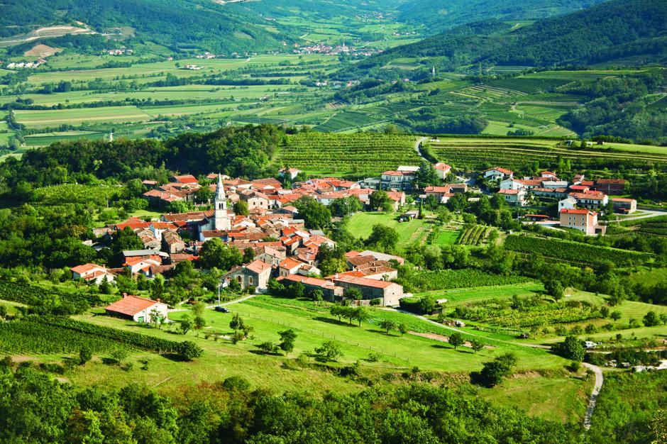 Vipavska dolina | Avtor: TIC Vipava