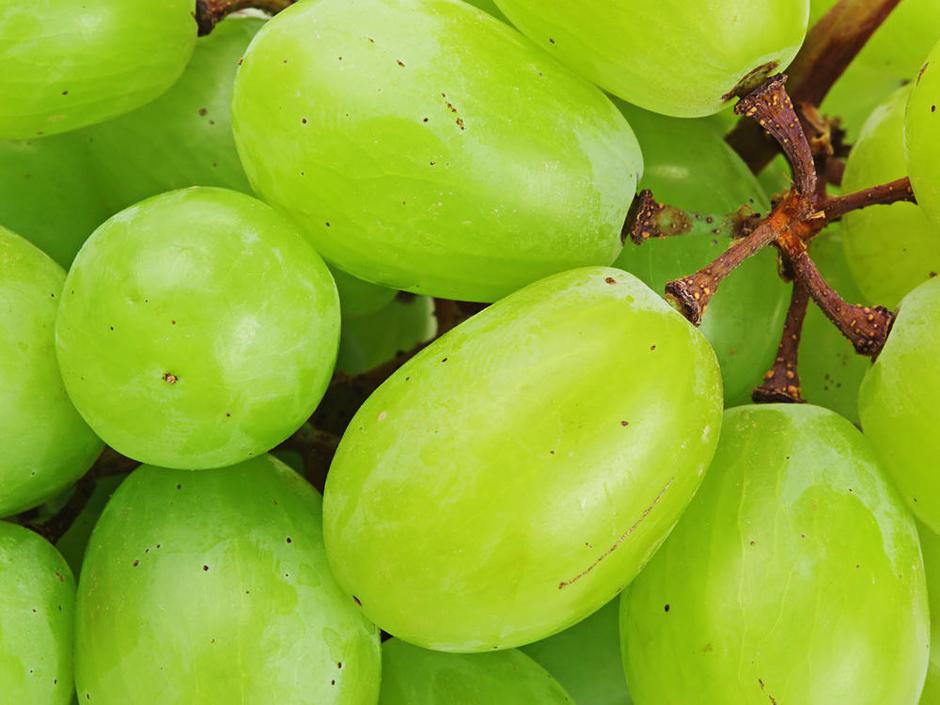 grozdje | Avtor: Žurnal24 main