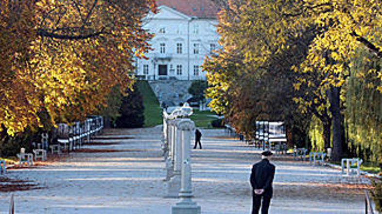 Do 30. maja je na Jakopičevem sprehajališču v Ljubljani na ogled razstava Živi, 