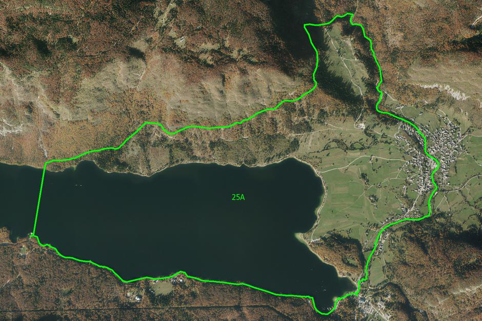 Severna stran Bohinjskega jezera (odsek 25A) | Avtor: Zavod za gozdove Bled