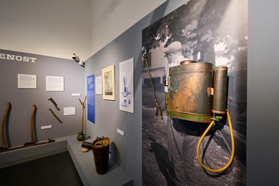 VINO NAŠE VSAKDANJE | Avtor: Tomo Jeseničnik