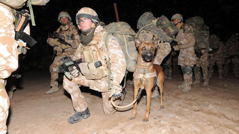 Predstavnik talibanov zanika, da bi njihovega vodjo ujeli. (Foto: EPA)